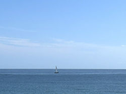 Looking at the Ocean at Lunch