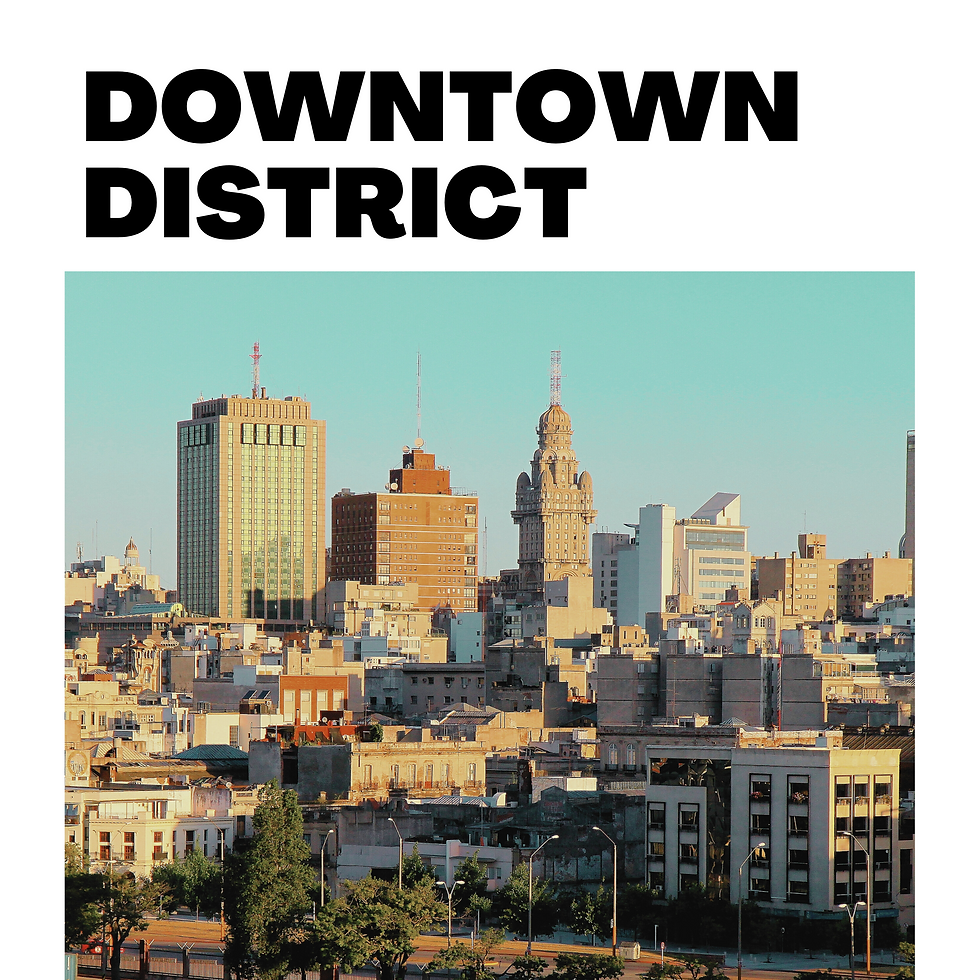 Downtown District of Montevideo