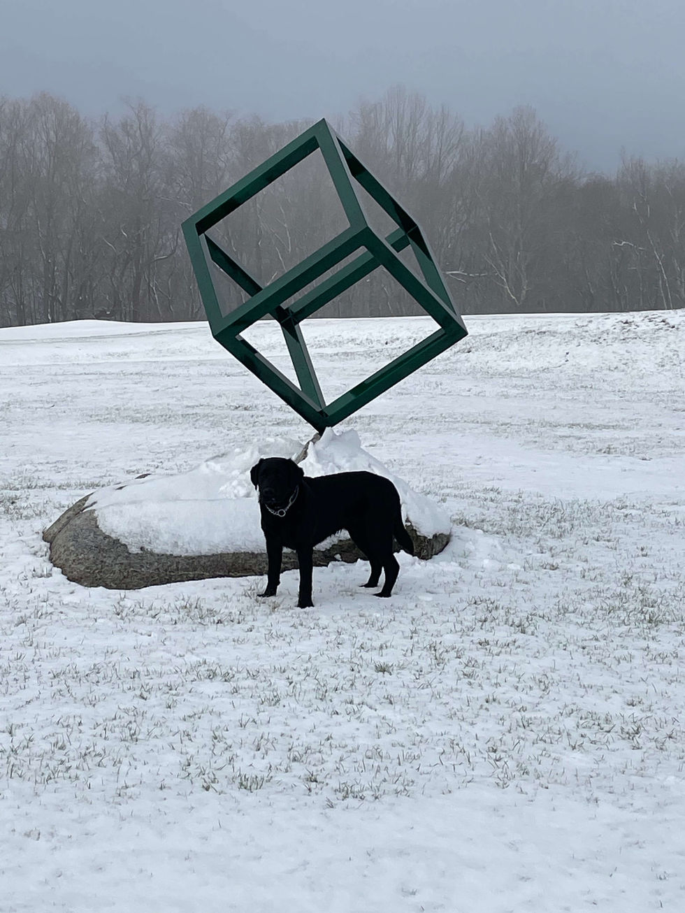 Green Cube Winter