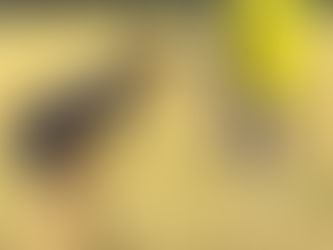 動画で自分を客観視する。