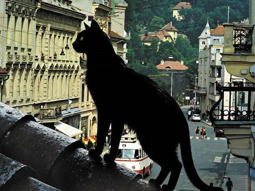 Brașovul vechi și nou 