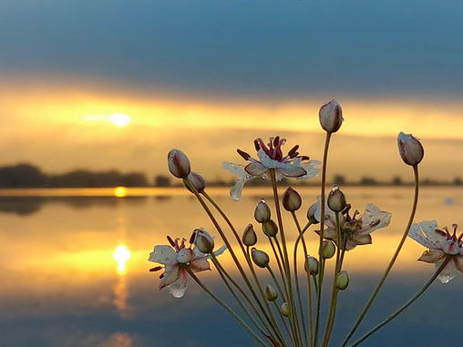 Frumosul din interior