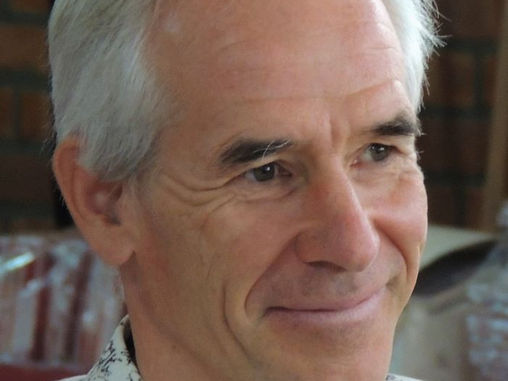 Laurent Grison