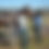 Thumbnail: BBR Cowboy Tee