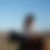 Thumbnail: BBR Cowboy Tee