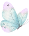 Copy of web ideas (4)_edited.png