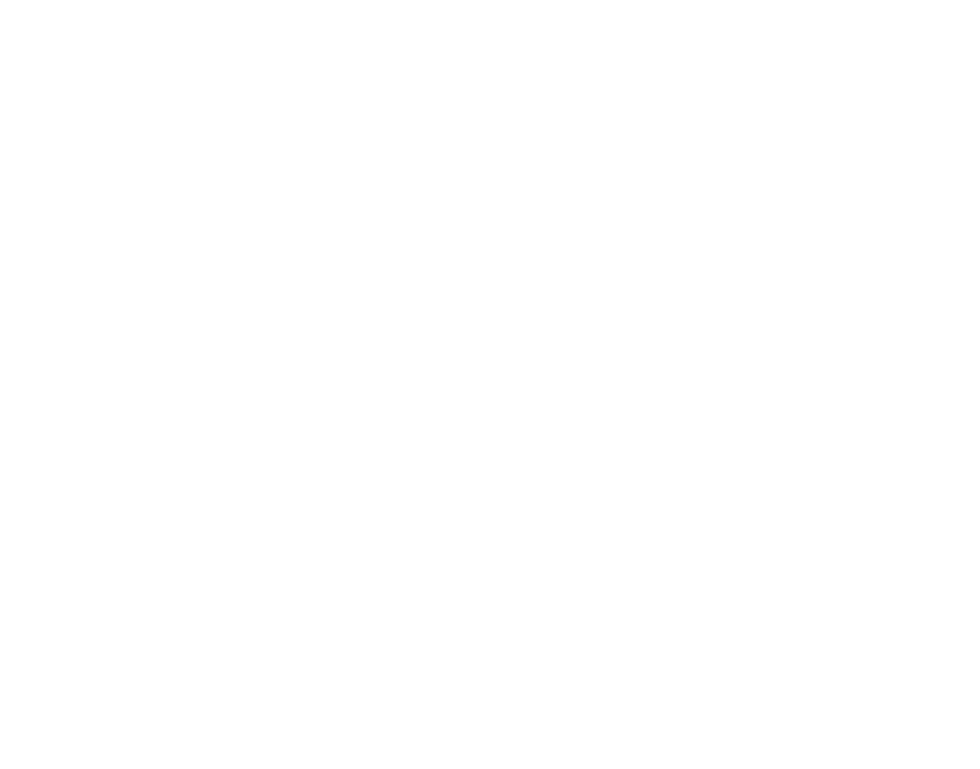 watermark.png