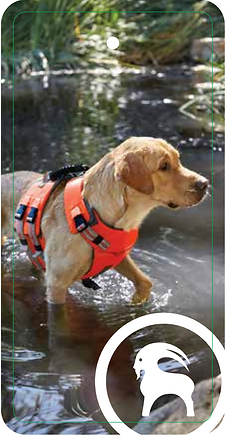 Screen Shot 2021-10-27 at 4.07.38 AM.png