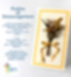 PP CARD 4.jpg