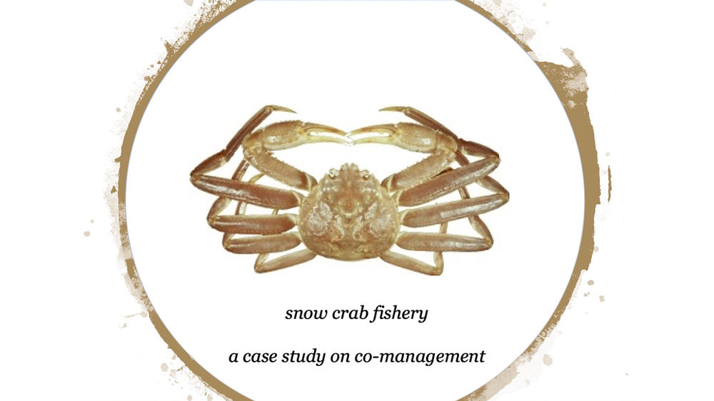 How do we define a successful fishery?