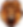 Colored Lion.png