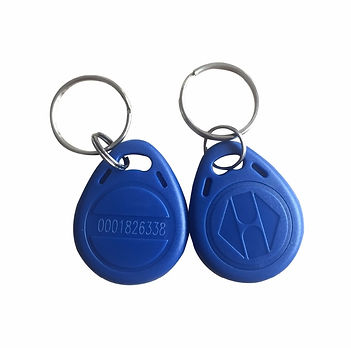 TAG DE PROXIMIDAD EN LLAVERO PLASTICO P