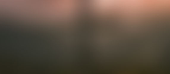 Good Friday for Dummies