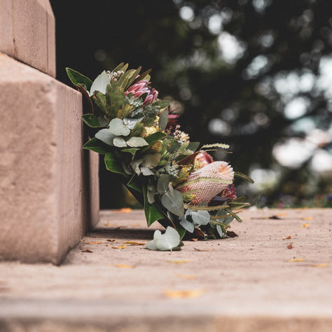 Death and What Lives On