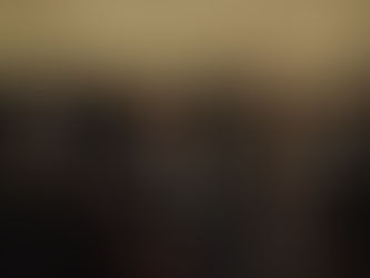 Se realizó el primer modelo de Asamblea Parlamentaria de Naciones Unidas