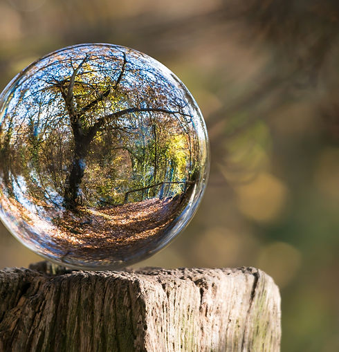 art-ball-blur-235615_edited_edited.jpg