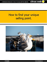 How to find your USP.PNG