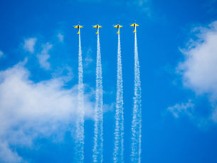 The 4 Most Important Behaviors for All Veterinary Leaders