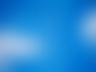 The 4 Most Important Behaviors for All Veterinary Leaders