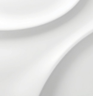 Light grey stylish modern background.jpg