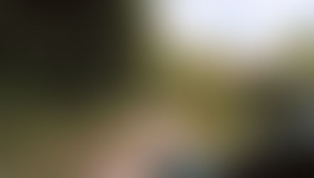 Vue depuis l'intérieur d'un véhicule sur la route sinueuse de montagne traversant la jungle luxuriante de Cebu en direction d'Osmeña Peak et Mantalongon