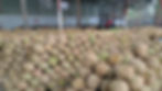 Davao Durian Farm : Un lève palette transporte des durians