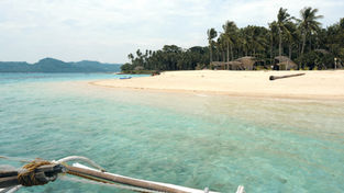 Vue depuis une banca, l'embarcation typique, on aperçoit la plage immaculée de l'île de Darocotan, située au large d'El Nido. Un peu plus loin, les bungalows d'Isla Experience se fondent dans la nature, offrant un refuge paisible. C'est l'image parfaite de l'évasion, une invitation à vivre au rythme des vagues et du soleil des Philippines