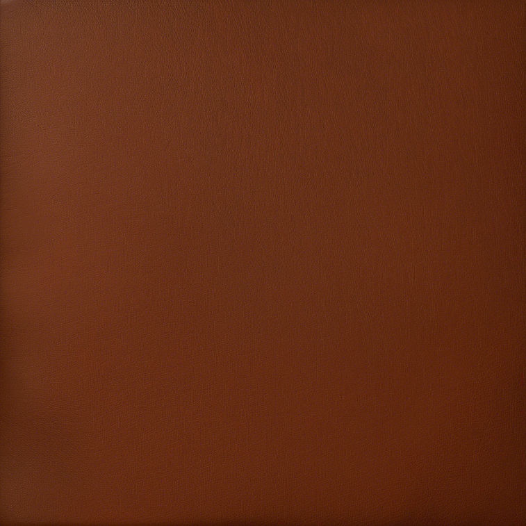 dark brown leather texture that is a bit more grainy.jpg
