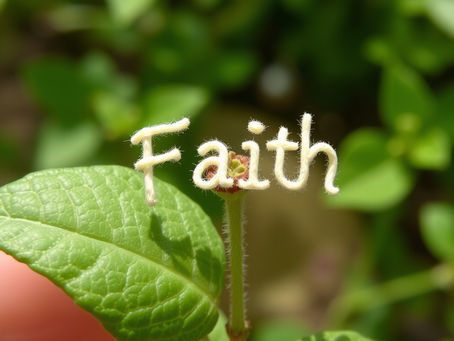 Accountability in Prayer