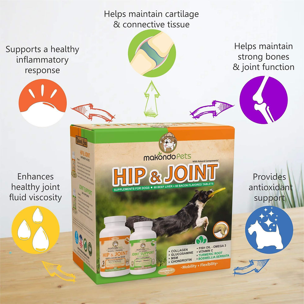 Thumbnail: Hip and Joint Supplement for Dogs with Chondroitin Collagen for Dogs Turmeric