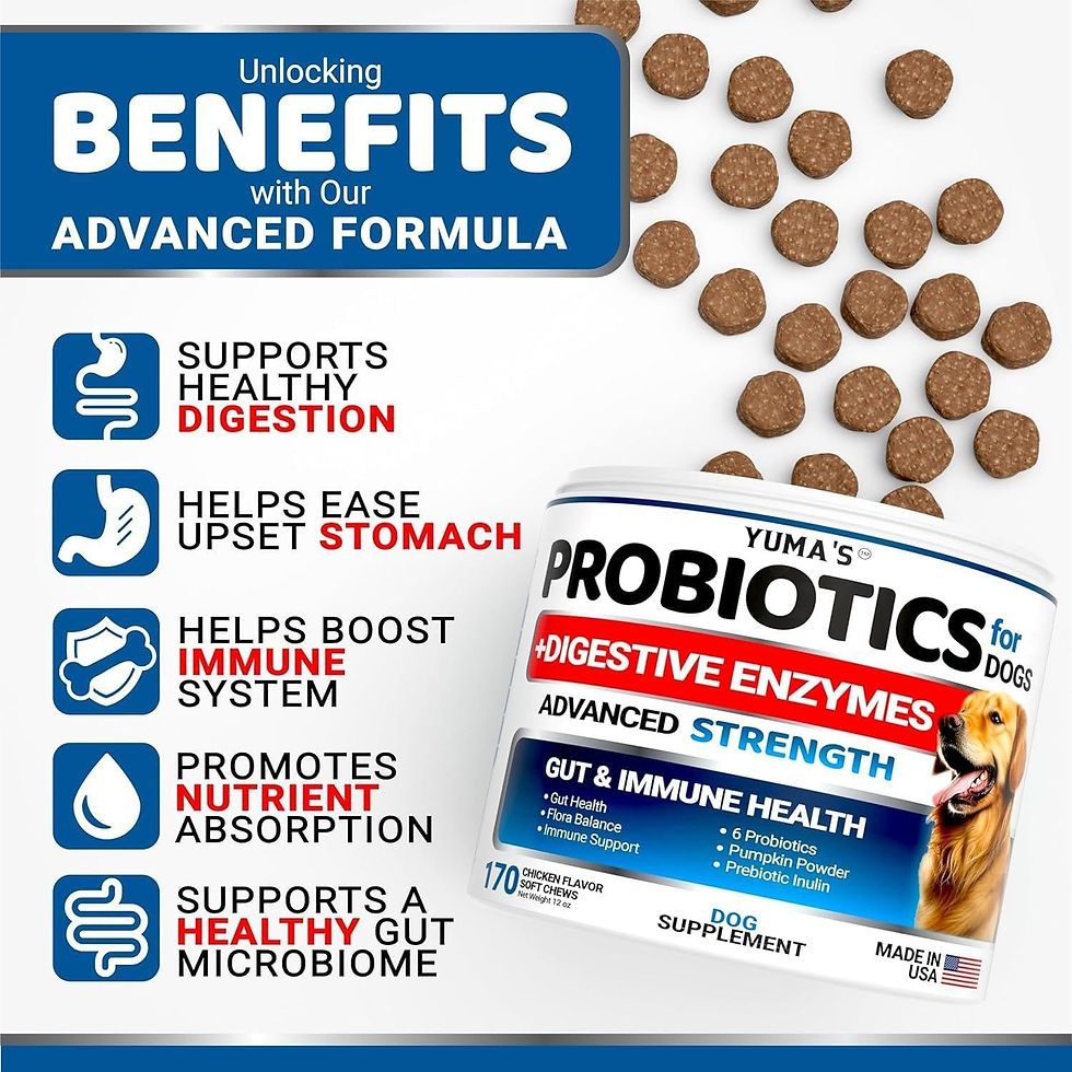 Thumbnail: 2 Pack Probiotics for Dogs and Digestive Enzymes Dog Probiotics Treats 340 Chews