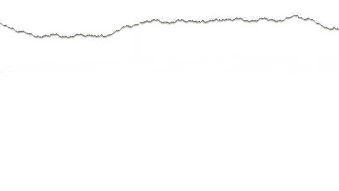 IMG_4498.PNG
