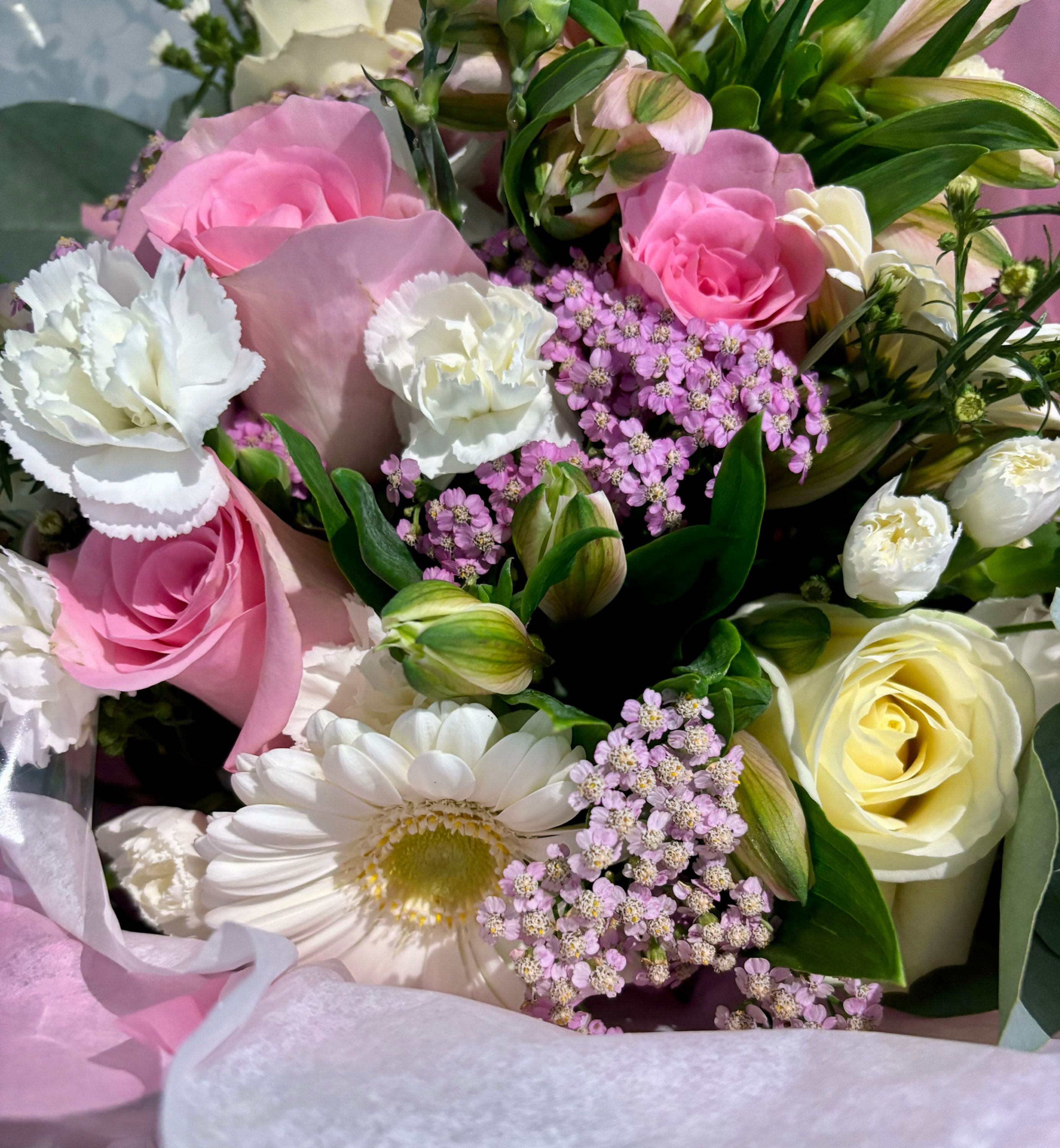 pink and white flowers
