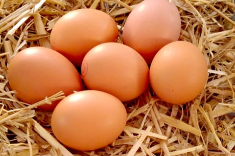 6 oeufs.jpg