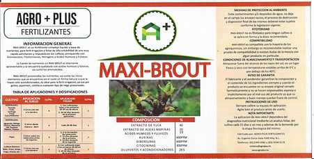 maxi-brout.jpg