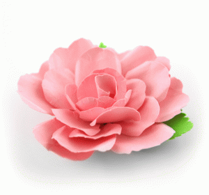 Arquivo de Corte Flor