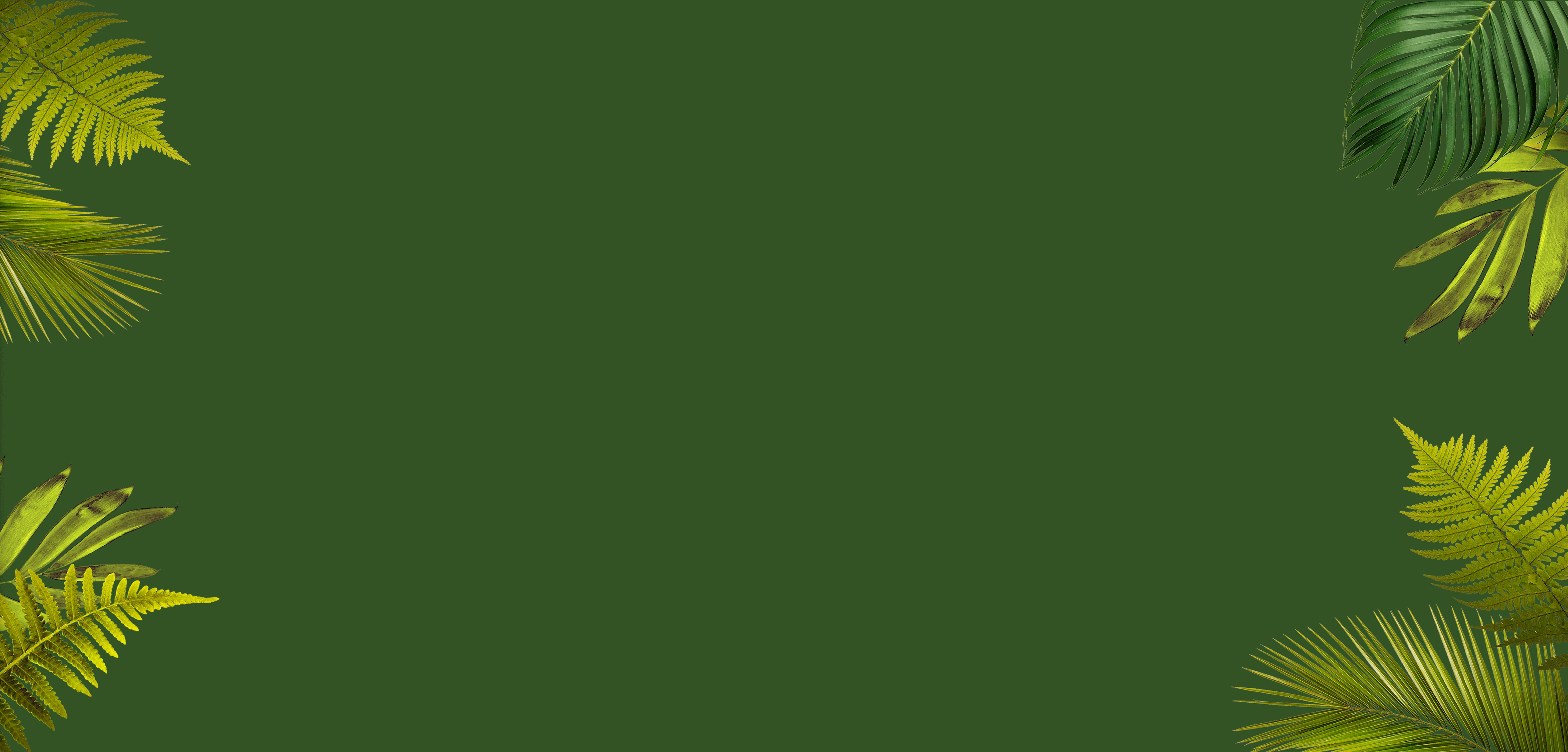 Nut-Bar-Background.gif