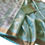 Thumbnail: Light Sky Blue Tissue Linen Weaving bota Saree
