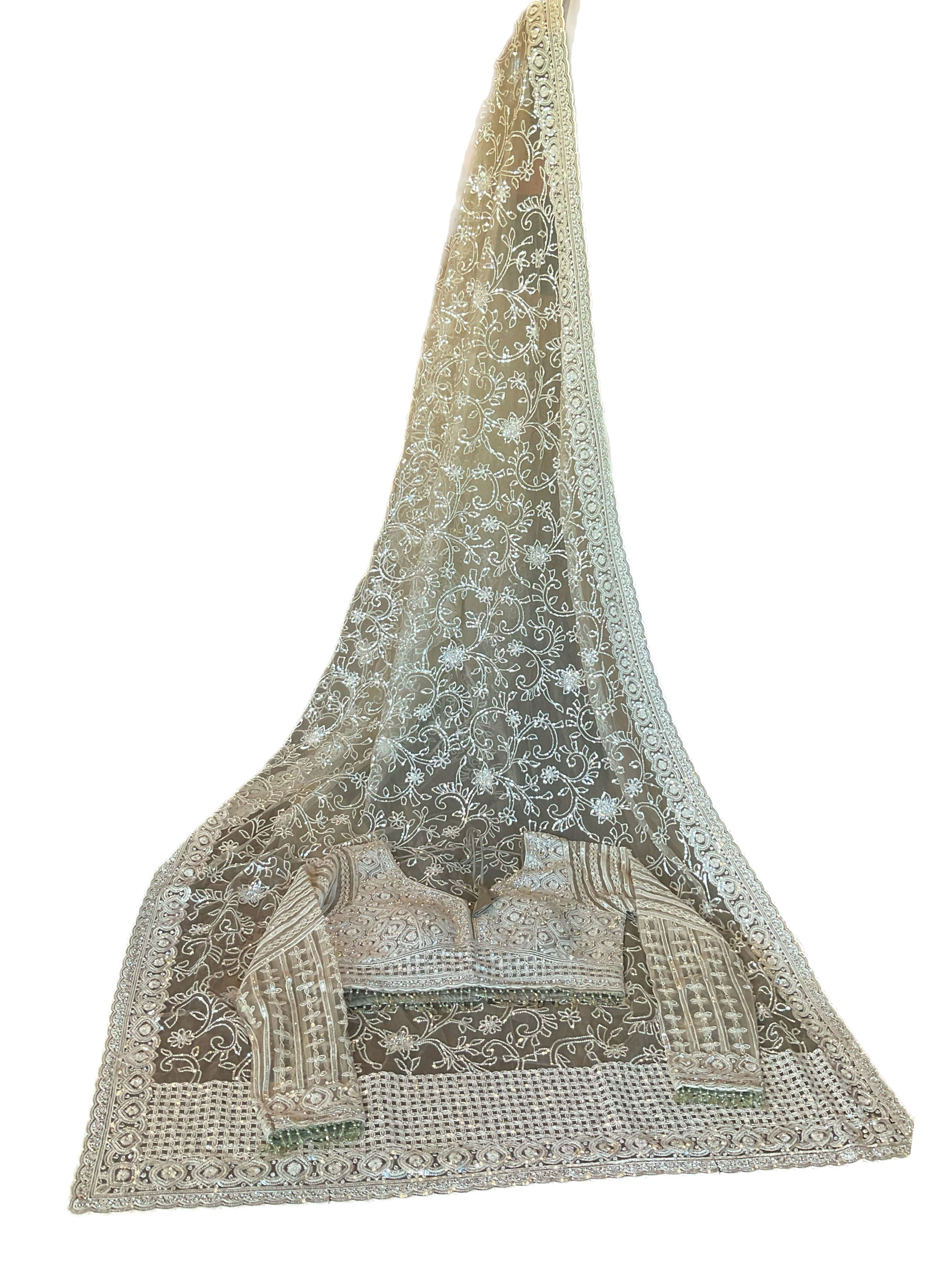 Gorgeous Embellished Tea Green Net Saree With Readymade Blouse