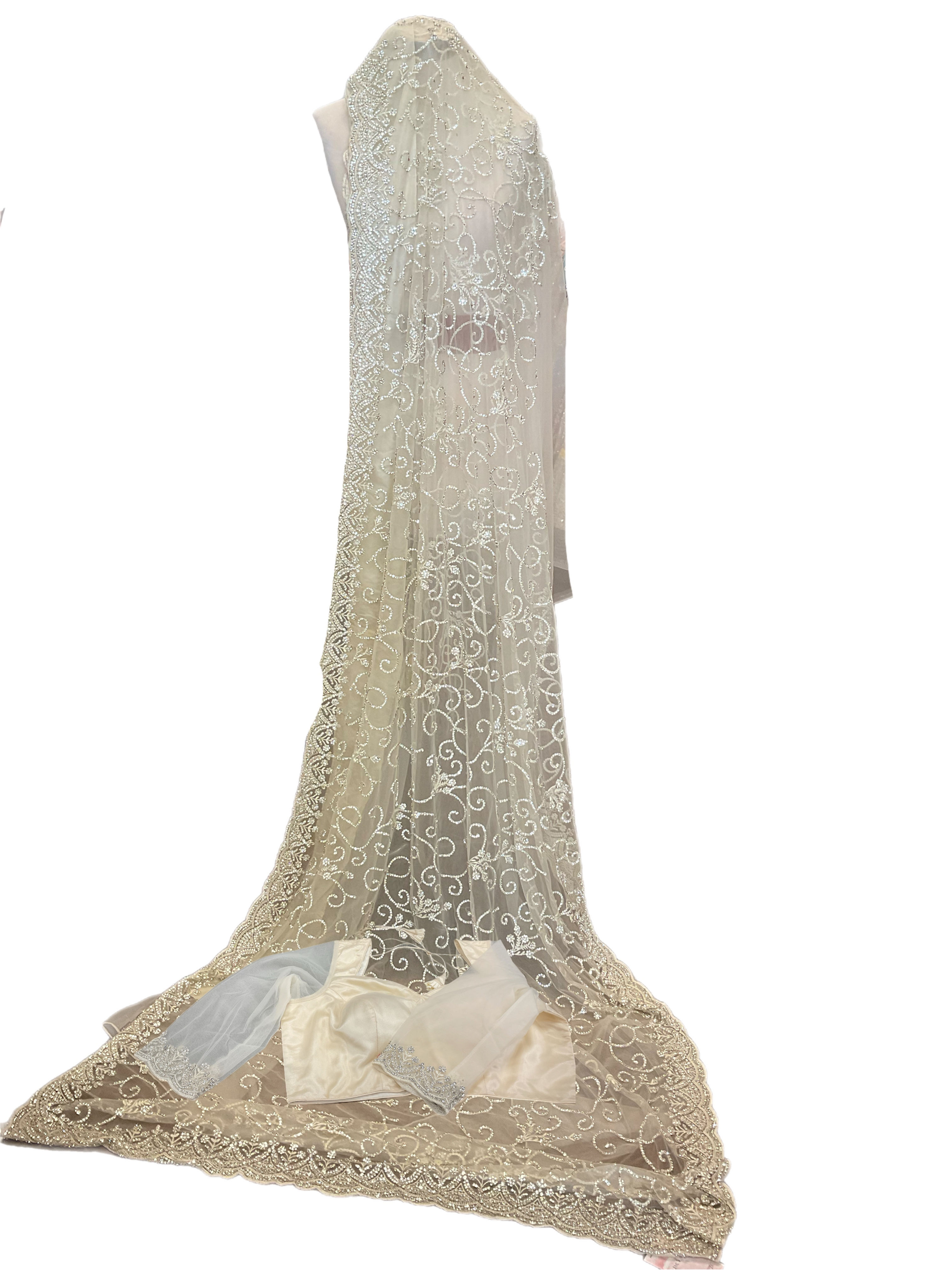 Gorgeous Embellished White Net Sare With Readymade Blouse