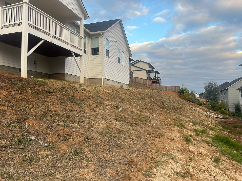 saint helens before.JPG