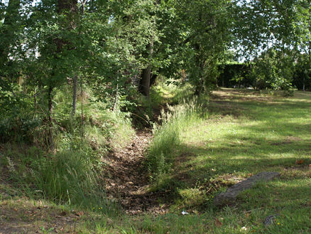 Sortie automnale le long du Bétey
