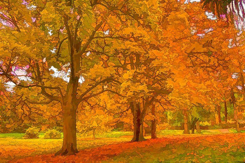 Finch Arboretum 24x36