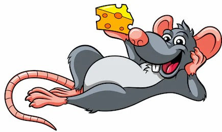There's a rat in the kitchen.