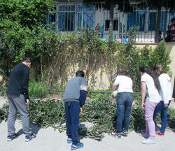 καθαρίζουμε την αυλή