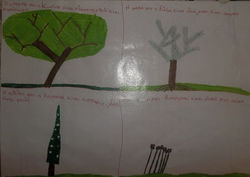 Κωσταντίνος