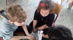 Διαβάζουμε τους γλωσσωδέτες