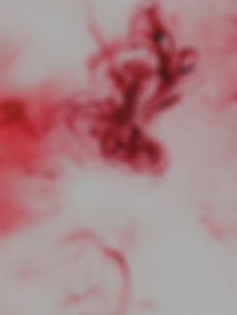 téléchargement (19)_edited.jpg