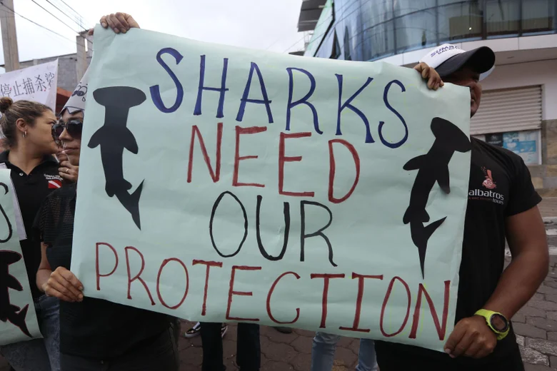 A poster advocating for shark protection.