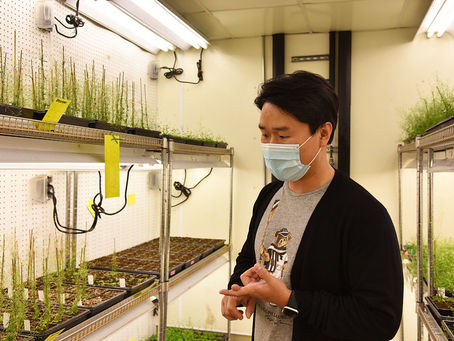 Learning From History